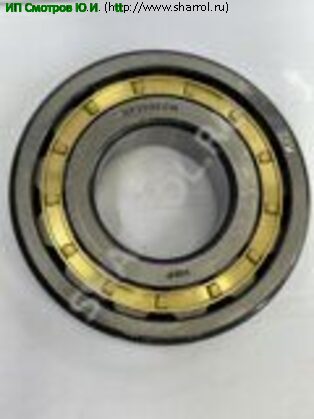 Схема NF309ECM