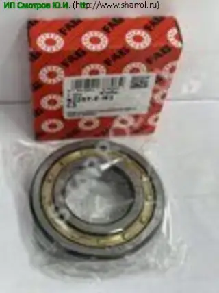 Схема NJ207ECJ